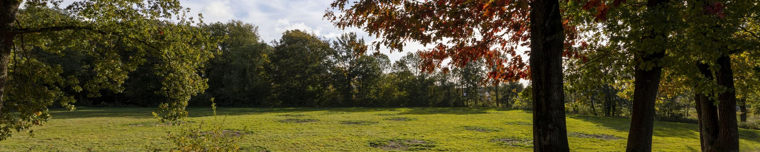 het terrein van het levensbomenbos Sylvia-De Voort
