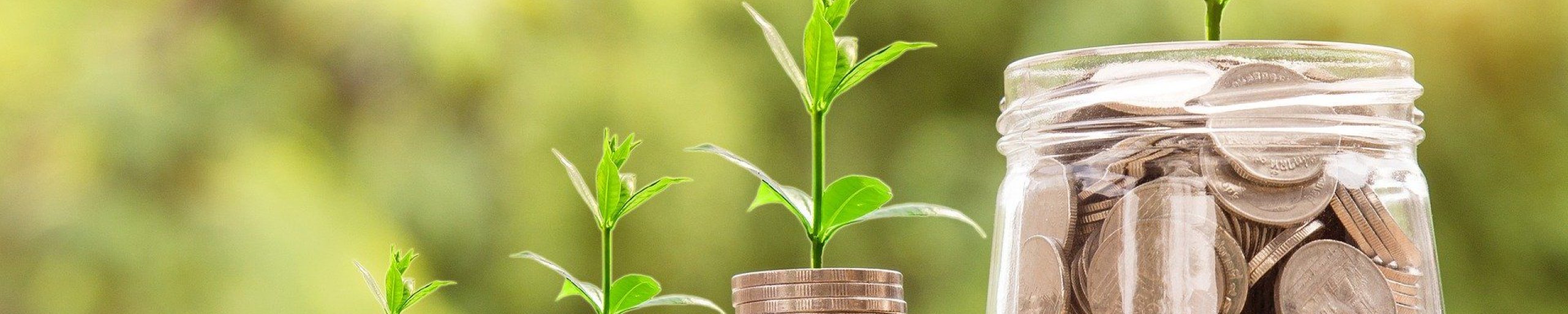 Stapeltjes geld met groene groeiende blaadjes erop