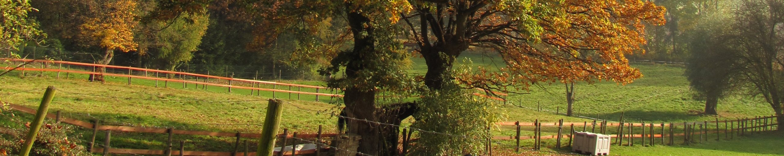 herfstlandschap in Landgraaf