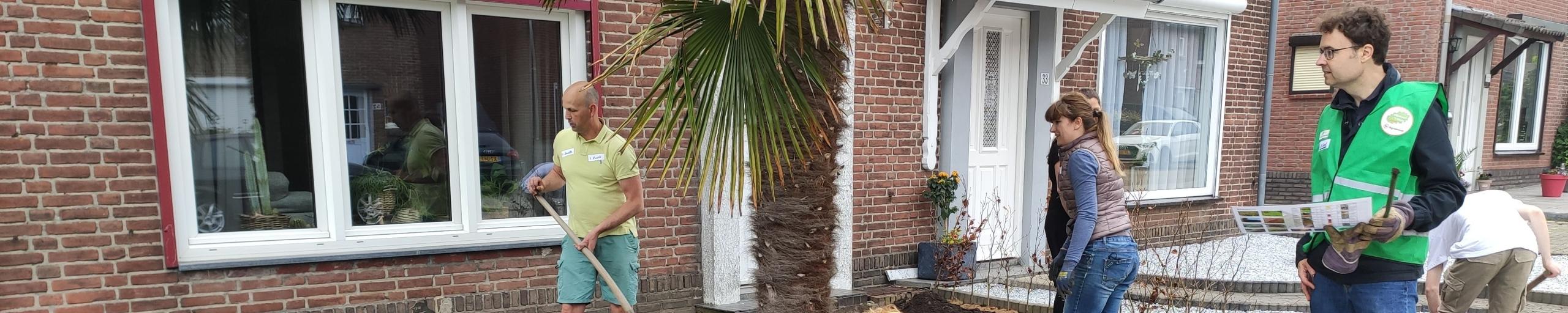 Diverse inwoners van Landgraaf zetten plantjes in een voortuin voor het ikgroenhet project
