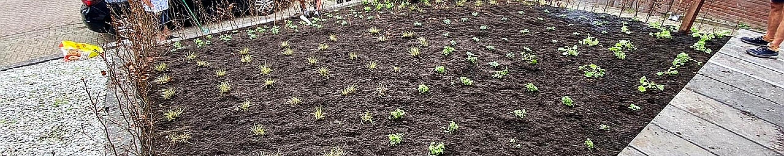 Een tuin die net vergroend is door het project Ikgroenhet