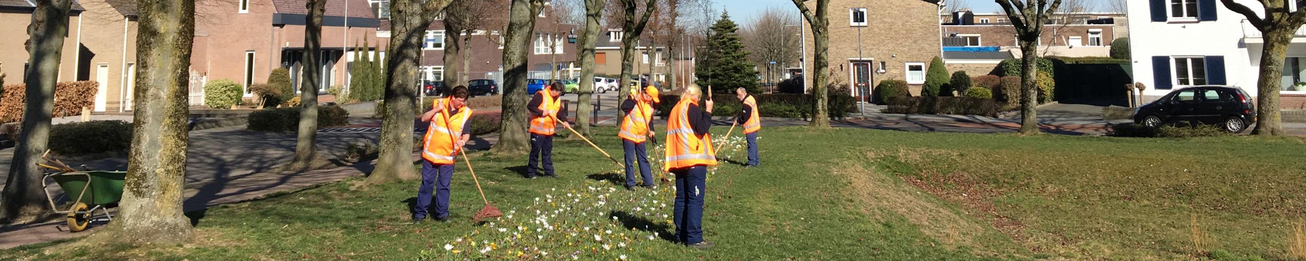 Mensen van Openbare Ruimte aan het werk in het groen