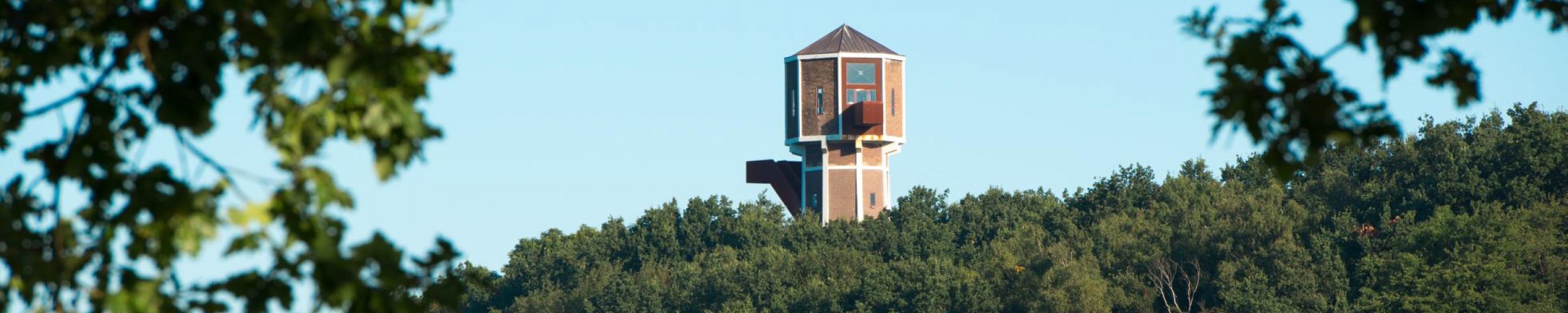 Een weiland met paarden en in de verte de watertoren in Rimburg