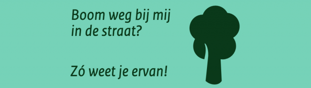 foto met tekst boom weg bij mij in de straat, zo weet je ervan